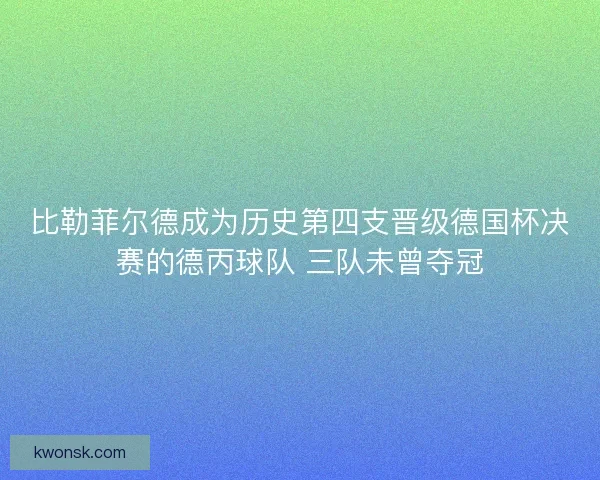 比勒菲尔德成为历史第四支晋级德国杯决赛的德丙球队 三队未曾夺冠