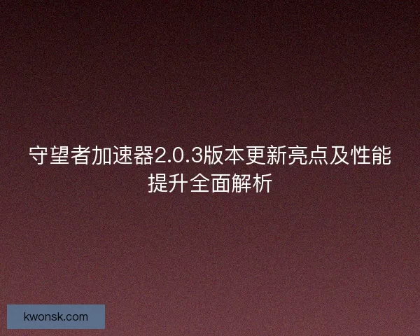 守望者加速器2.0.3版本更新亮点及性能提升全面解析