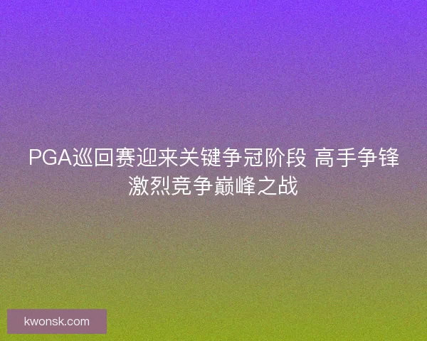 PGA巡回赛迎来关键争冠阶段 高手争锋激烈竞争巅峰之战