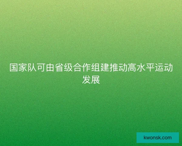 国家队可由省级合作组建推动高水平运动发展