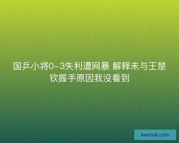 国乒小将0-3失利遭网暴 解释未与王楚钦握手原因我没看到 国乒小将0-3失利遭网暴 解释未与王楚钦握手原因我没看到